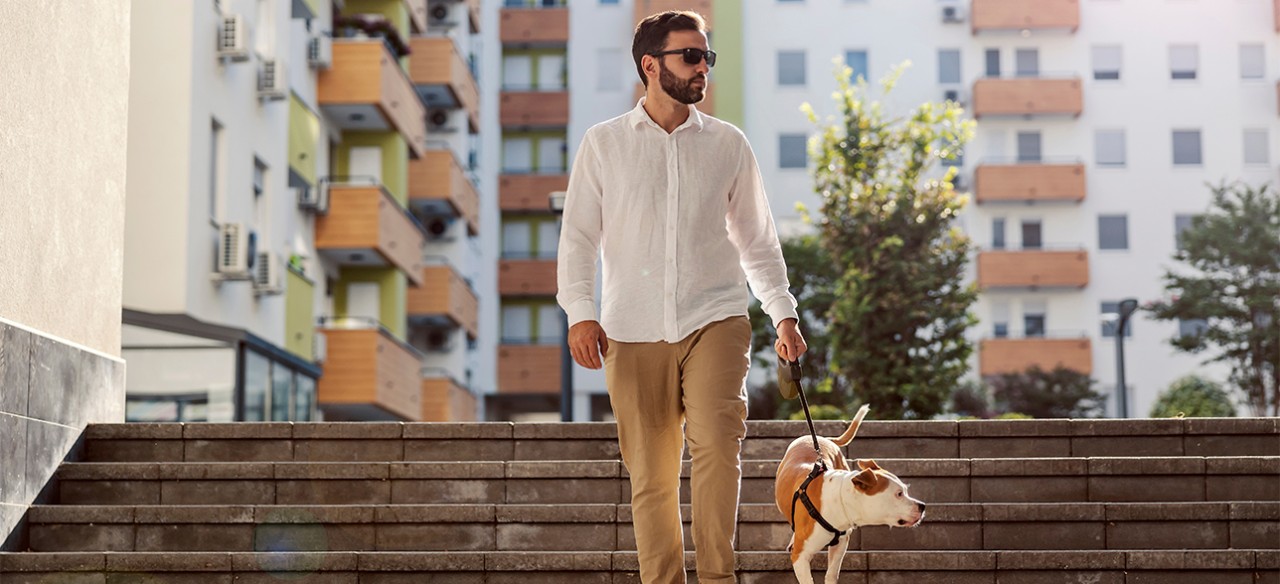 Los ataques a los técnicos ocurren durante las visitas a los predios, cuando realizan las labores de lectura de consumo o entrega de la factura. Hombre paseando a su perro
